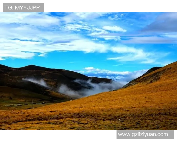 焦泊乔的成长之路与人生哲学探讨:从平凡到卓越的心灵旅程 焦泊乔的成长之路与人生哲学探讨:从平凡到卓越的心灵旅程